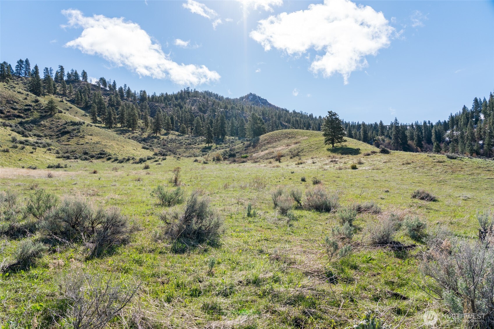 7993 Nahahum Canyon Road Property Photo 16