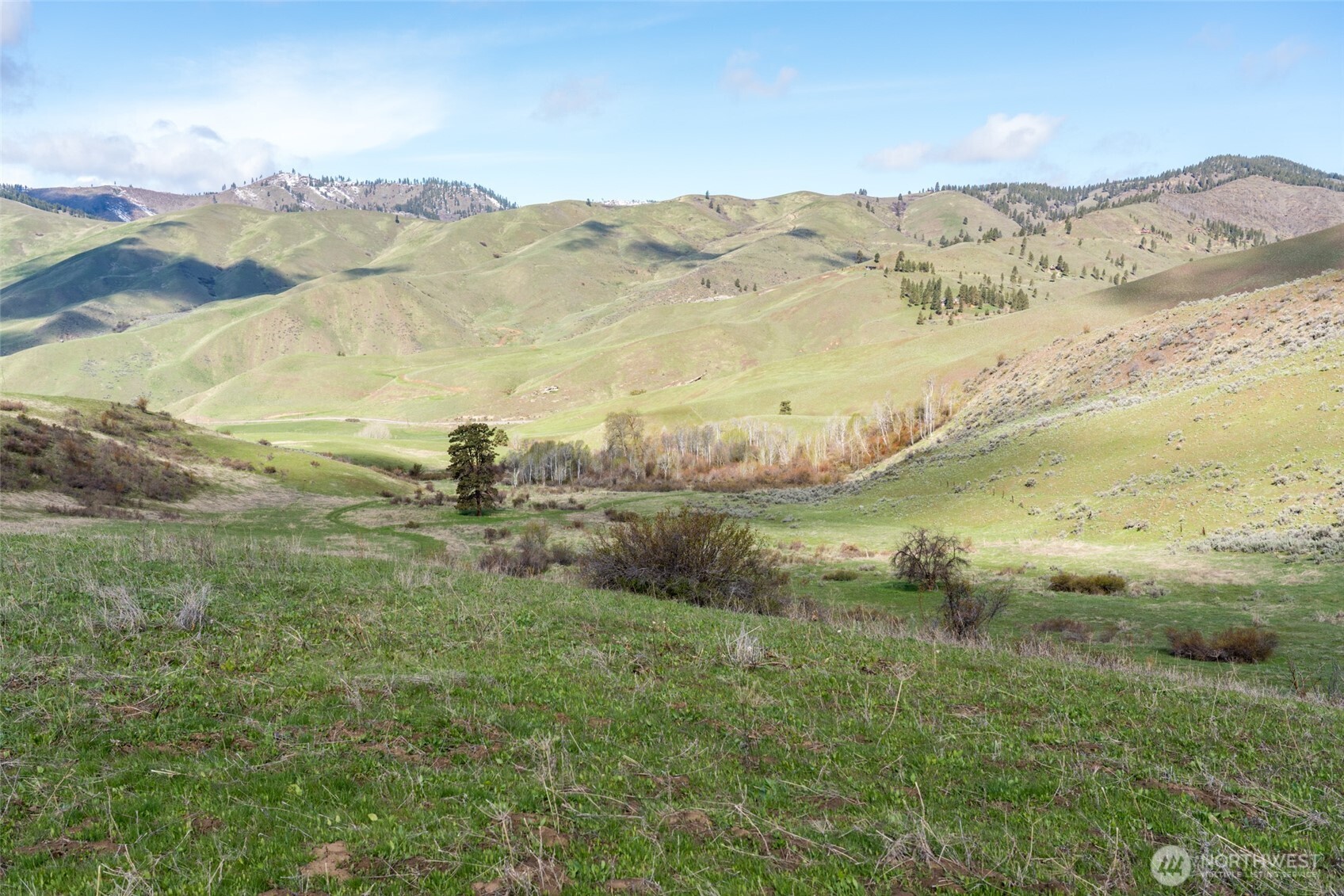 7993 Nahahum Canyon Road Property Photo 19