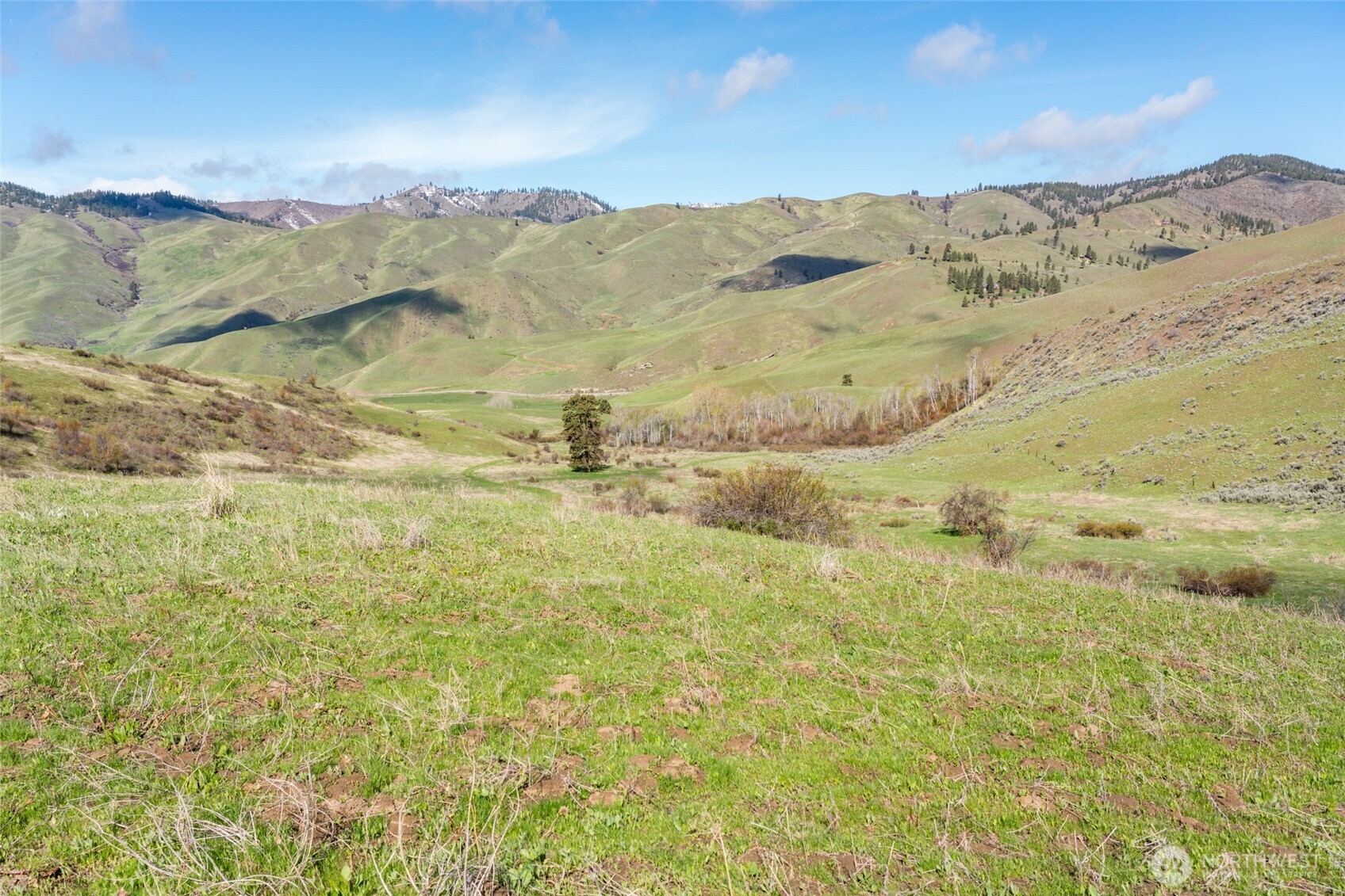 7993 Nahahum Canyon Road Property Photo 23