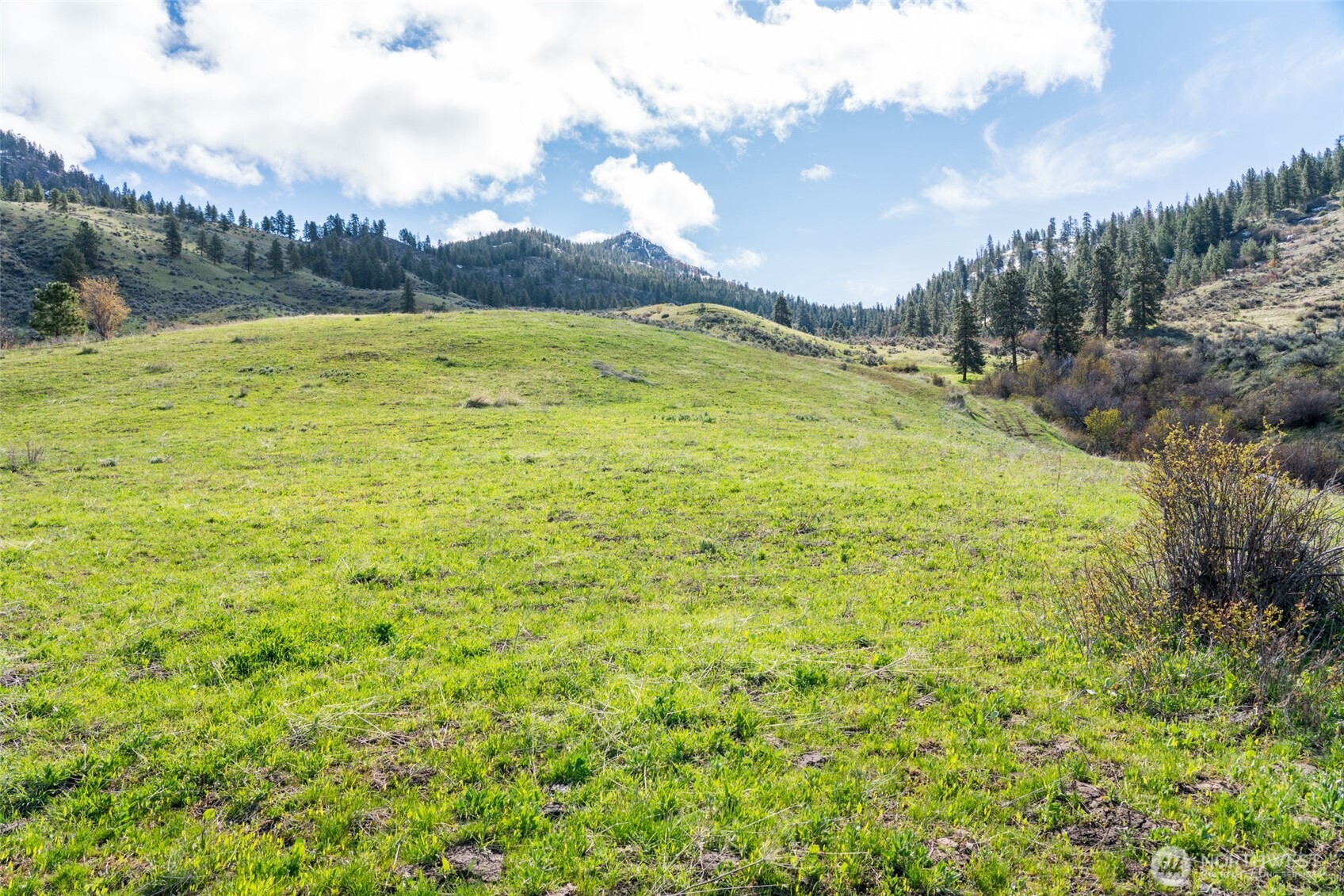 7993 Nahahum Canyon Road Property Photo 26