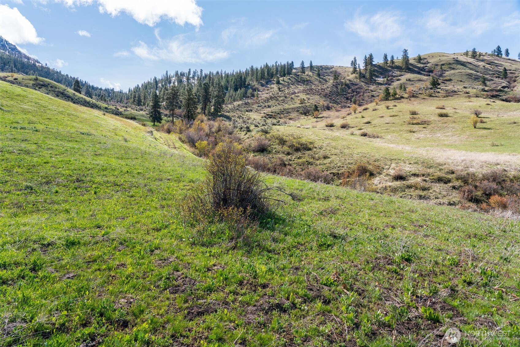 7993 Nahahum Canyon Road Property Photo 27