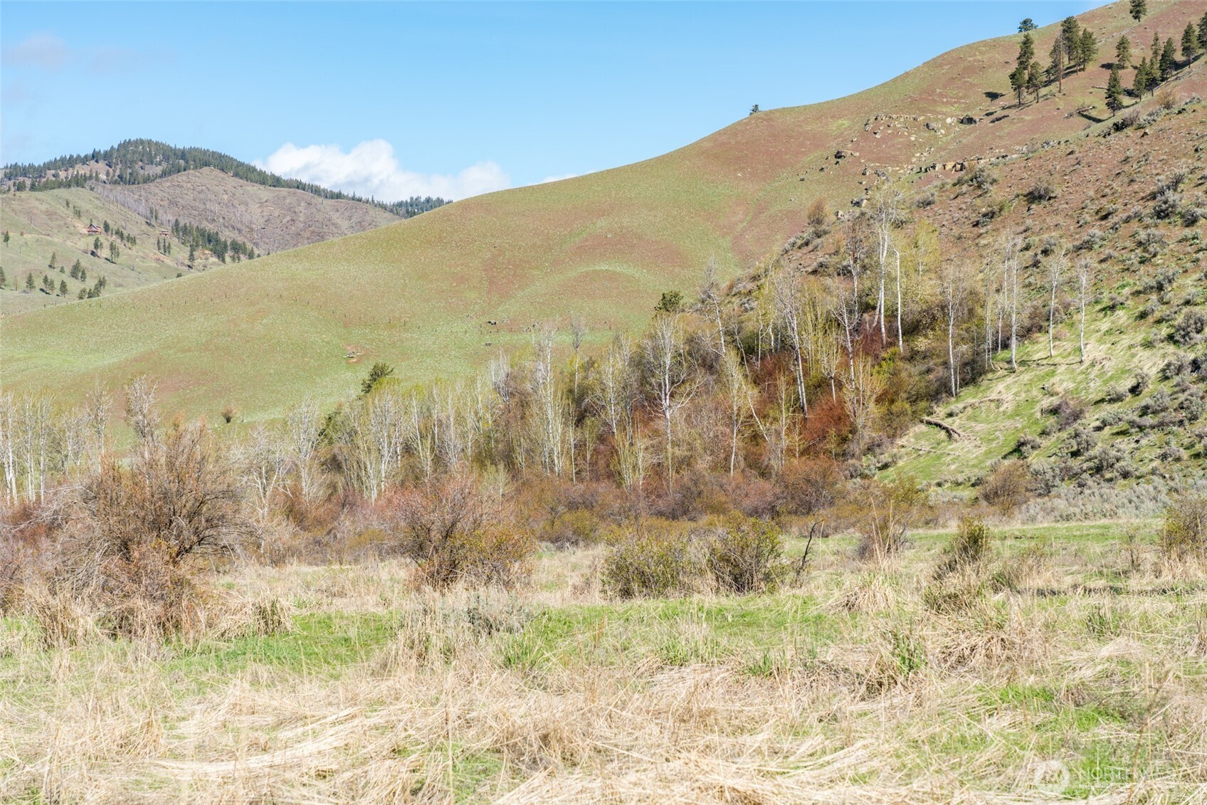 7993 Nahahum Canyon Road Property Photo 29