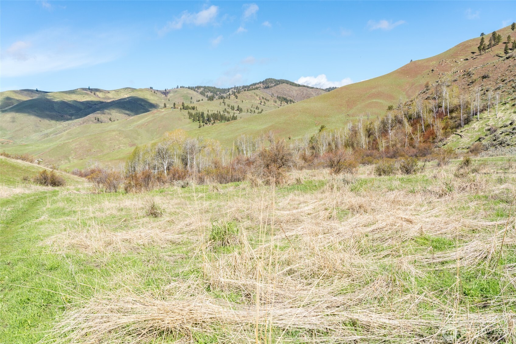 7993 Nahahum Canyon Road Property Photo 30