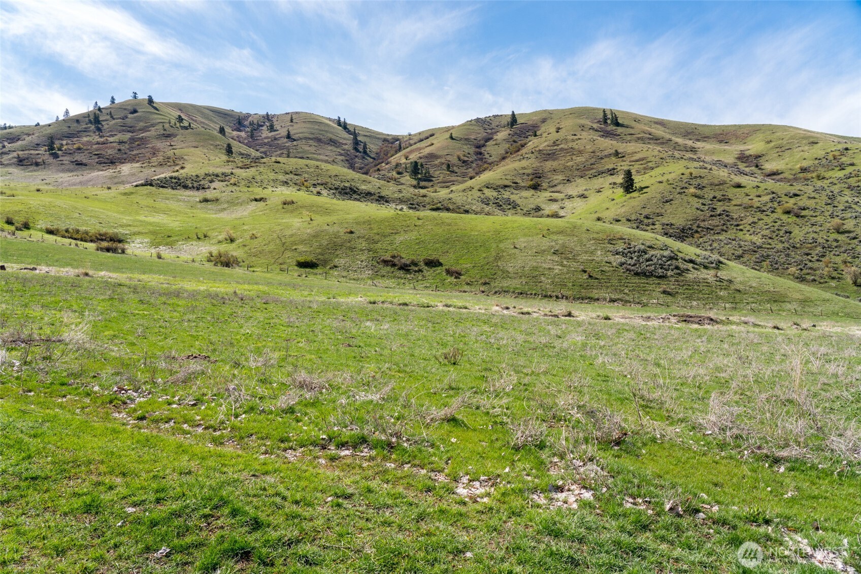 7993 Nahahum Canyon Road Property Photo 35