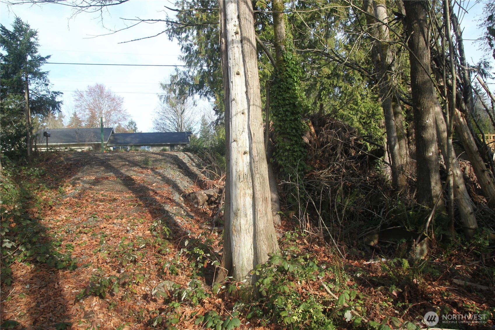 0 Xx Ne Columbia Street Property Photo 3