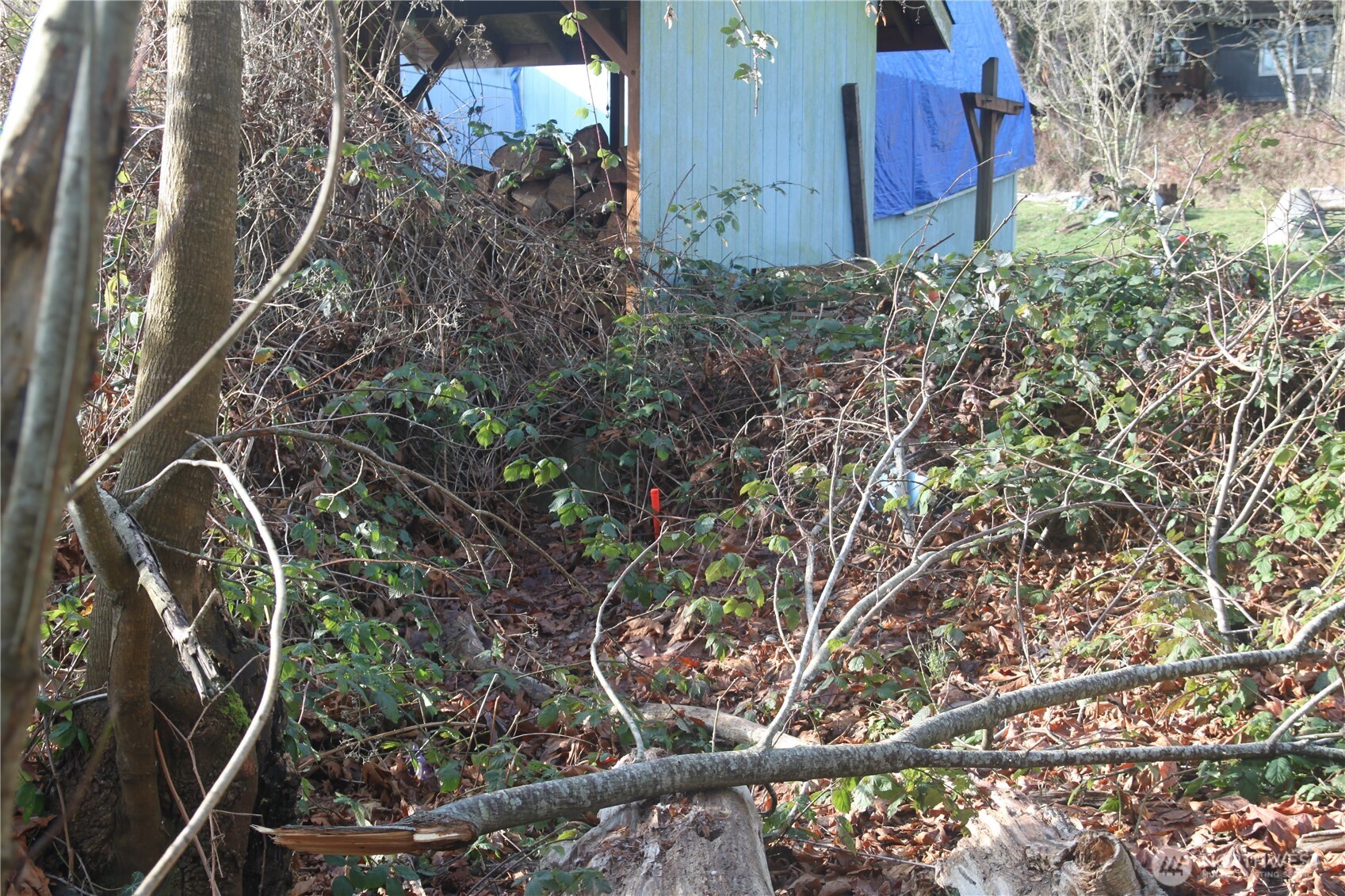 0 Xx Ne Columbia Street Property Photo 4