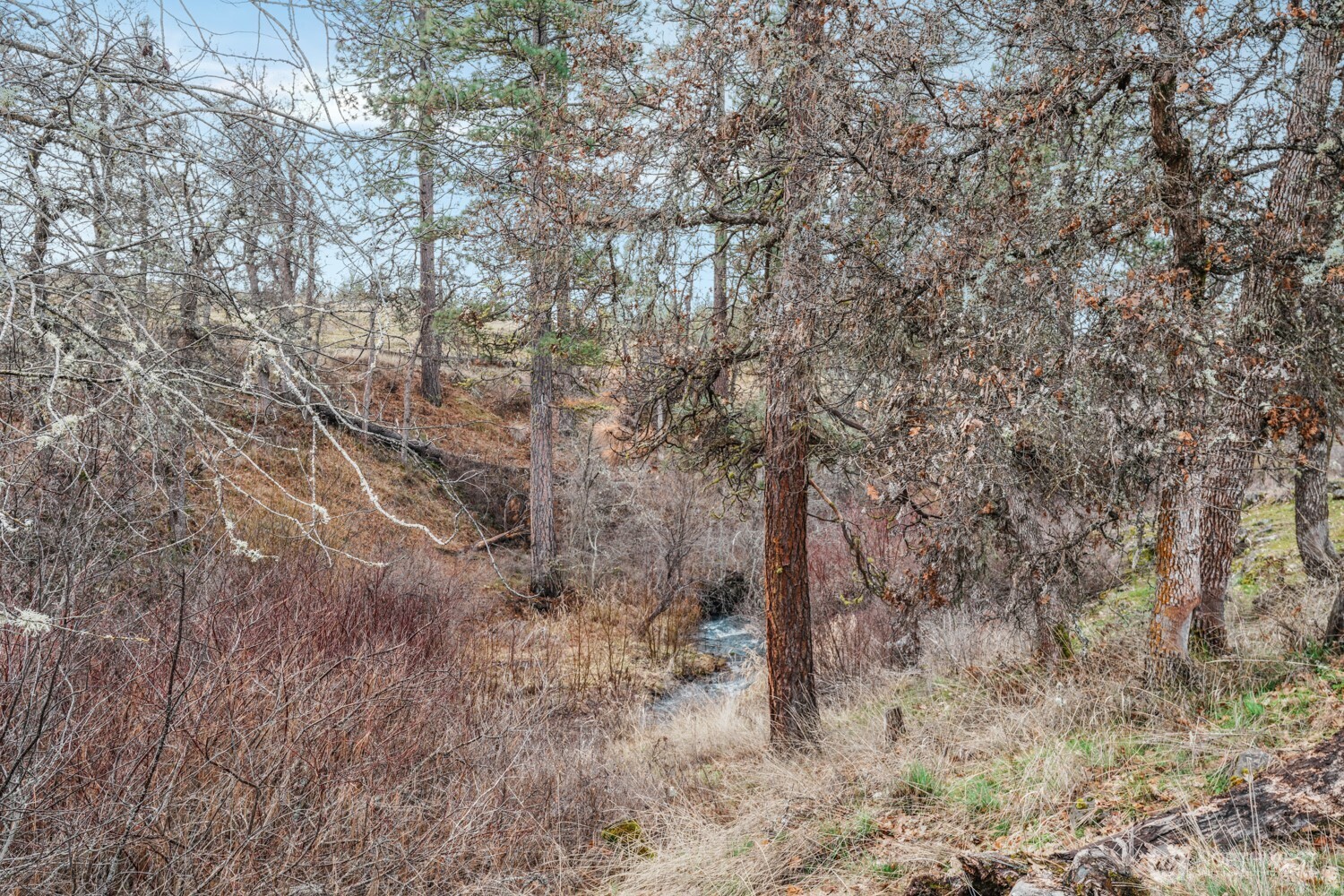 932 Zelinski Road Property Photo 33