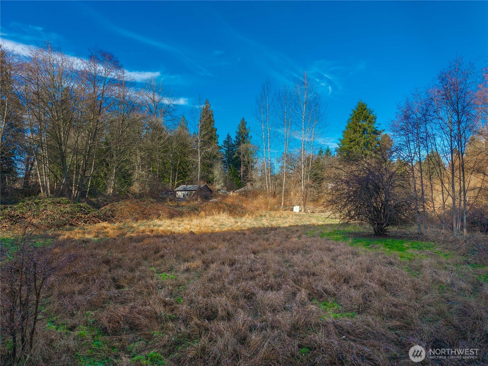 10330 56th St Se Property Photo 13