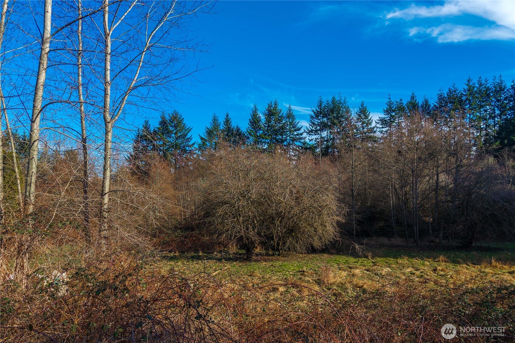 10330 56th St Se Property Photo 18