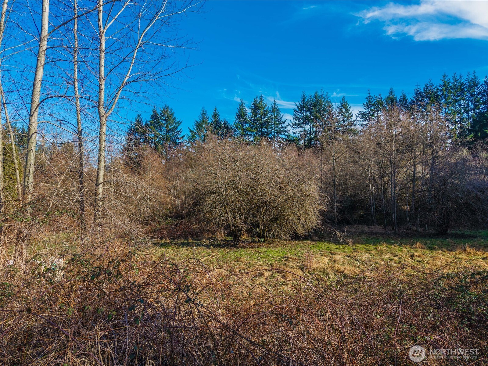10330 56th St Se Property Photo 19
