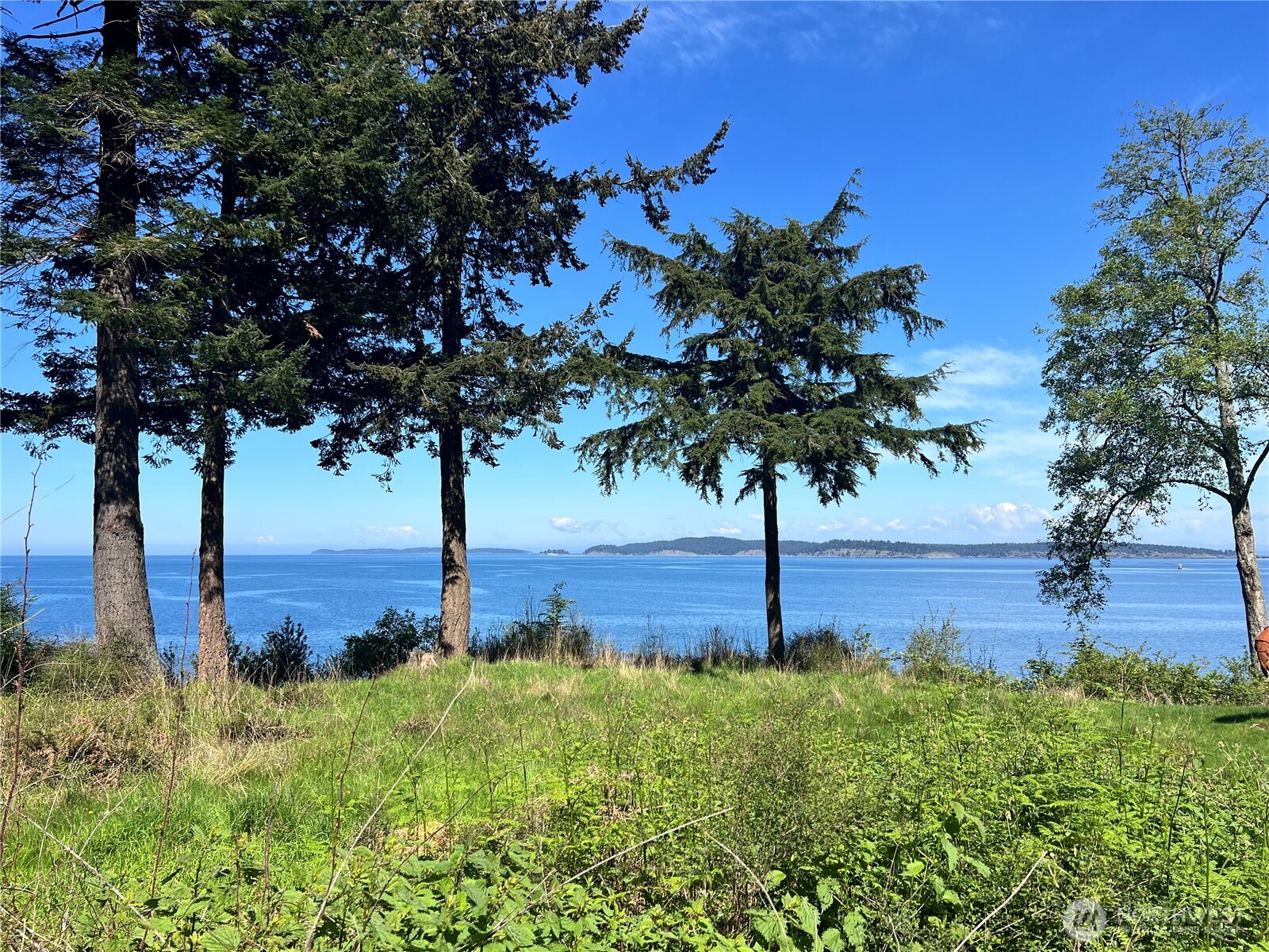 351 Sunset Property Photo 5