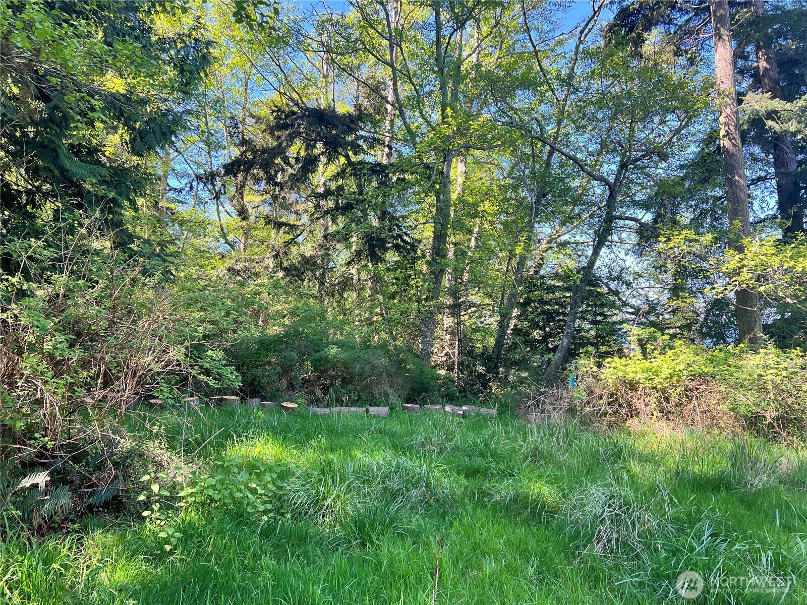 351 Sunset Property Photo 16