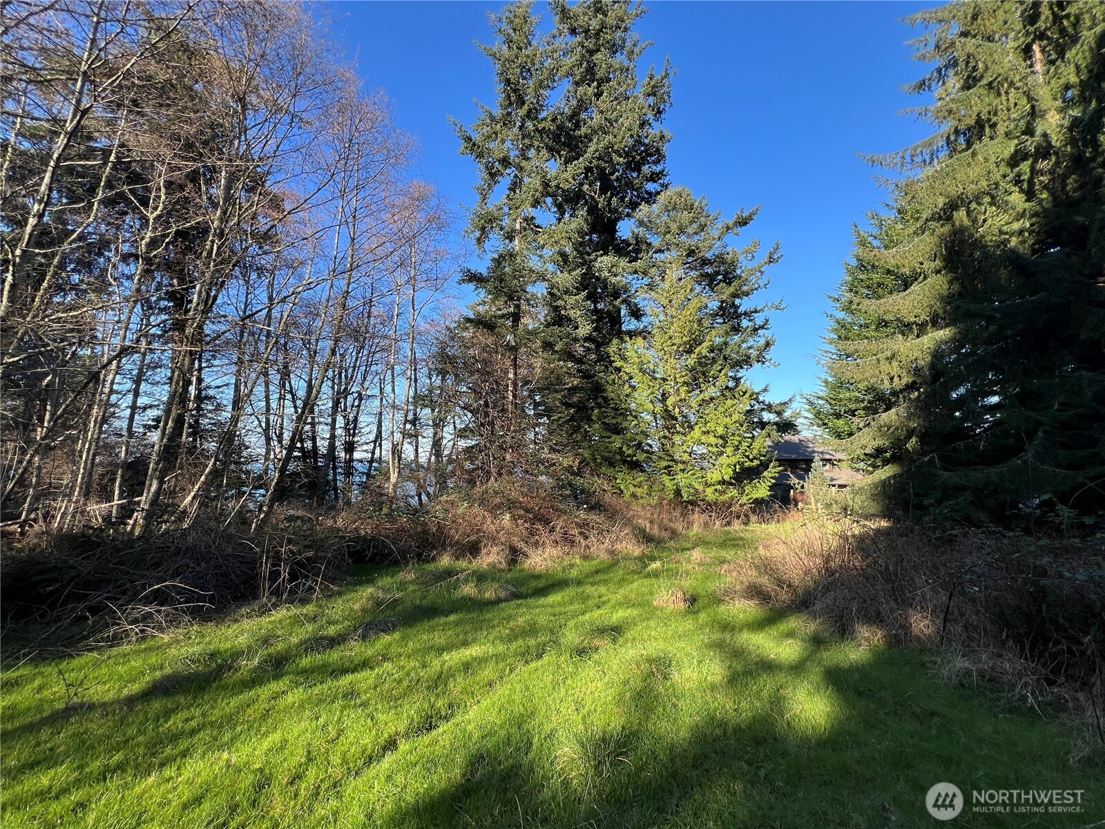 351 Sunset Property Photo 17