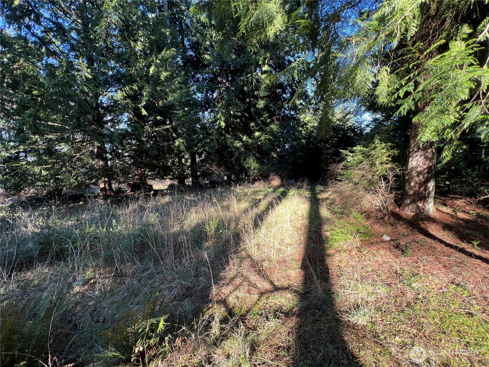 351 Sunset Property Photo 25