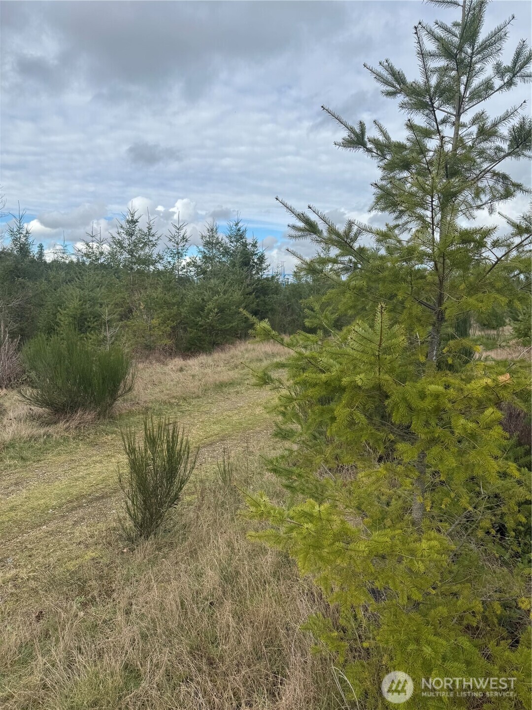 31101 Se Retreat-kanaskat Road Property Photo 2
