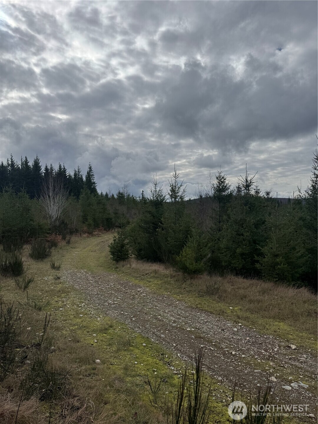 31101 Se Retreat-kanaskat Road Property Photo 3