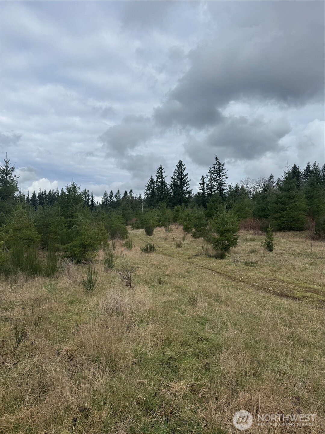 31101 Se Retreat-kanaskat Road Property Photo 4