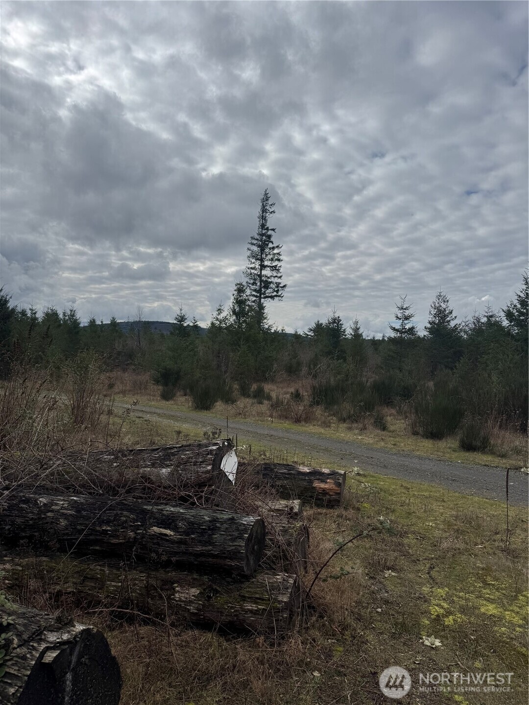 31101 Se Retreat-kanaskat Road Property Photo 5