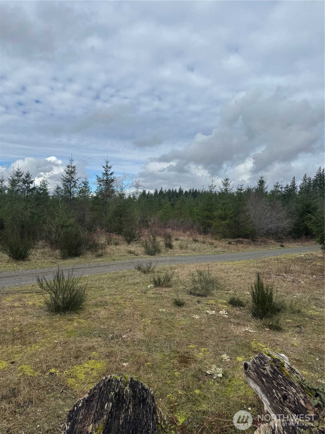 31101 Se Retreat-kanaskat Road Property Photo 6