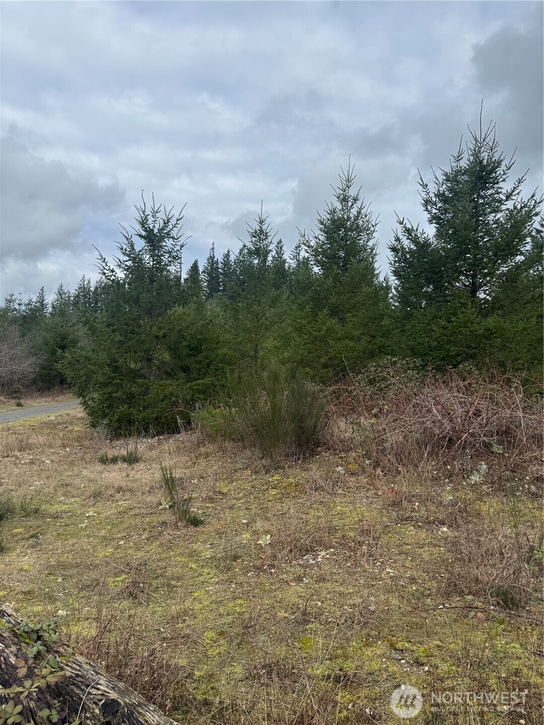 31101 Se Retreat-kanaskat Road Property Photo 7