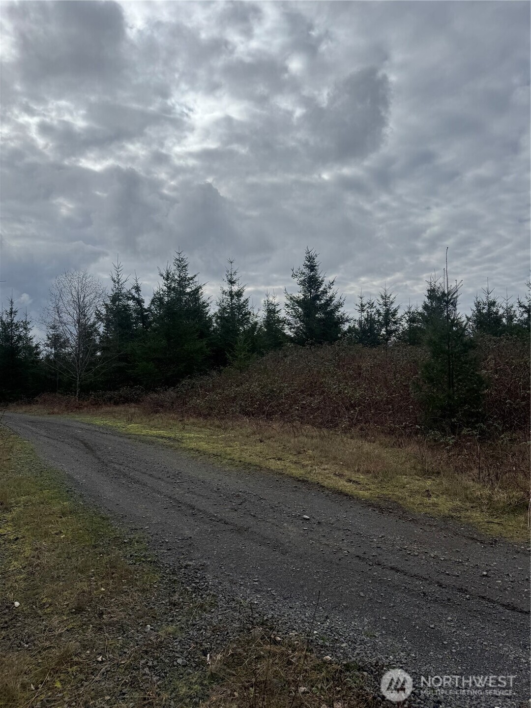 31101 Se Retreat-kanaskat Road Property Photo 8