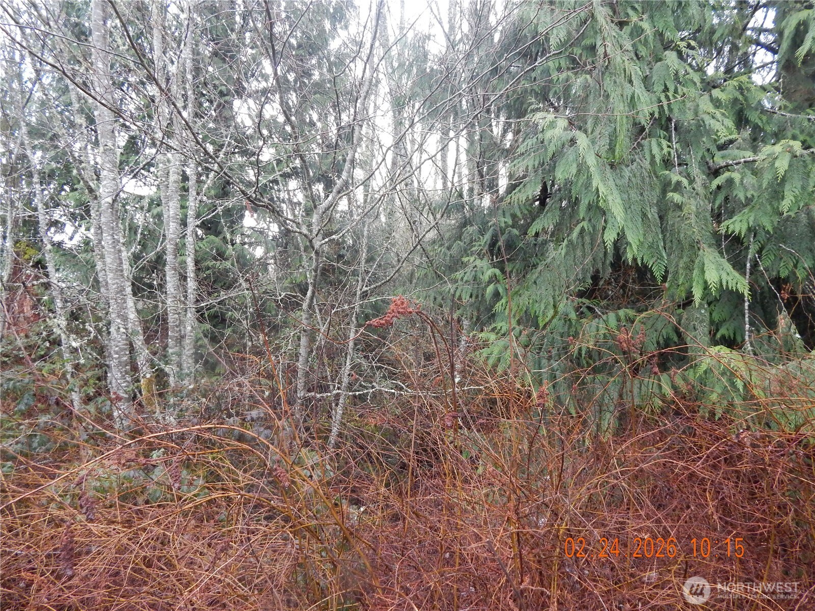 9999 Farrington Road Property Photo 5