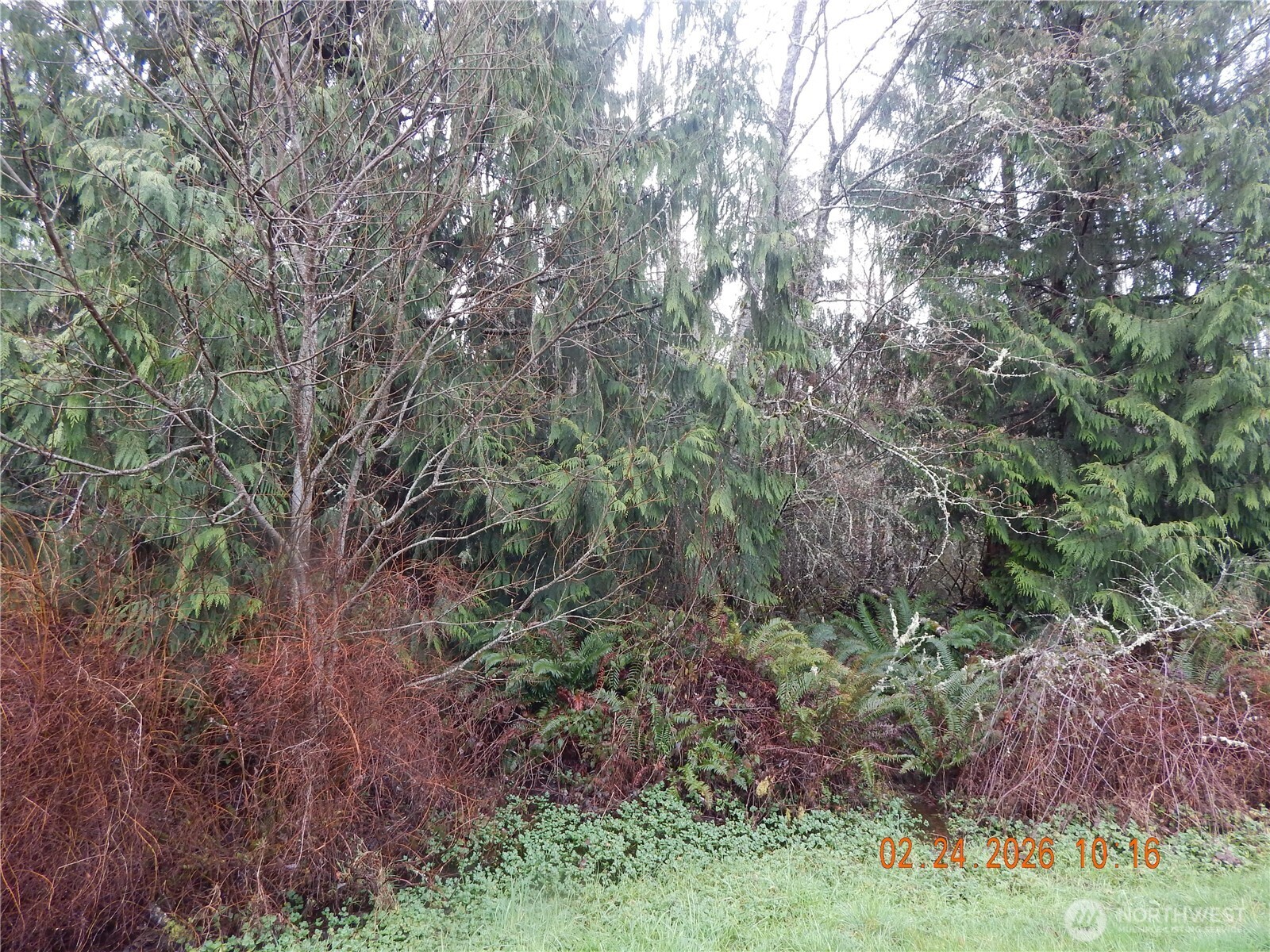 9999 Farrington Road Property Photo 7