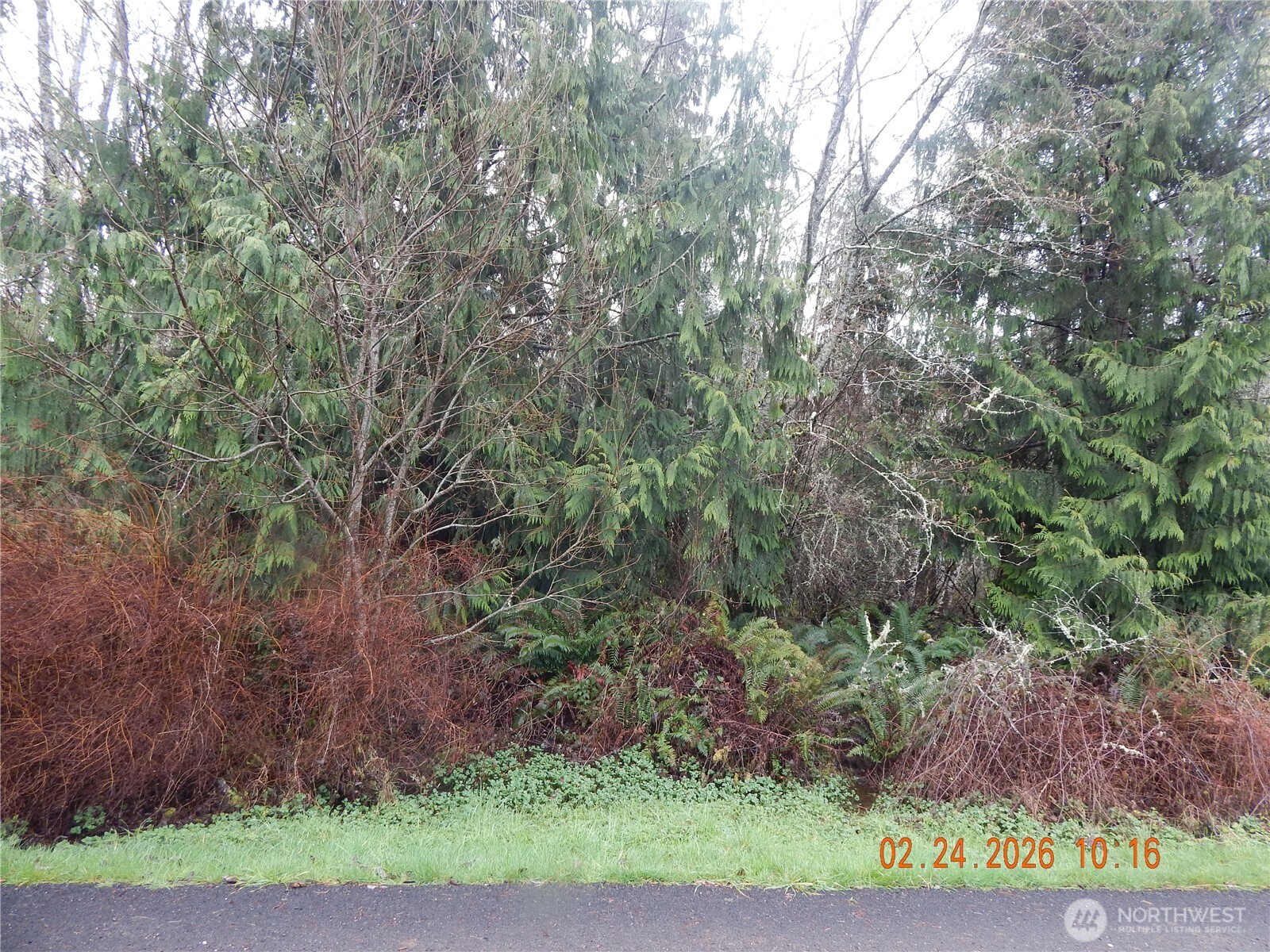 9999 Farrington Road Property Photo 8