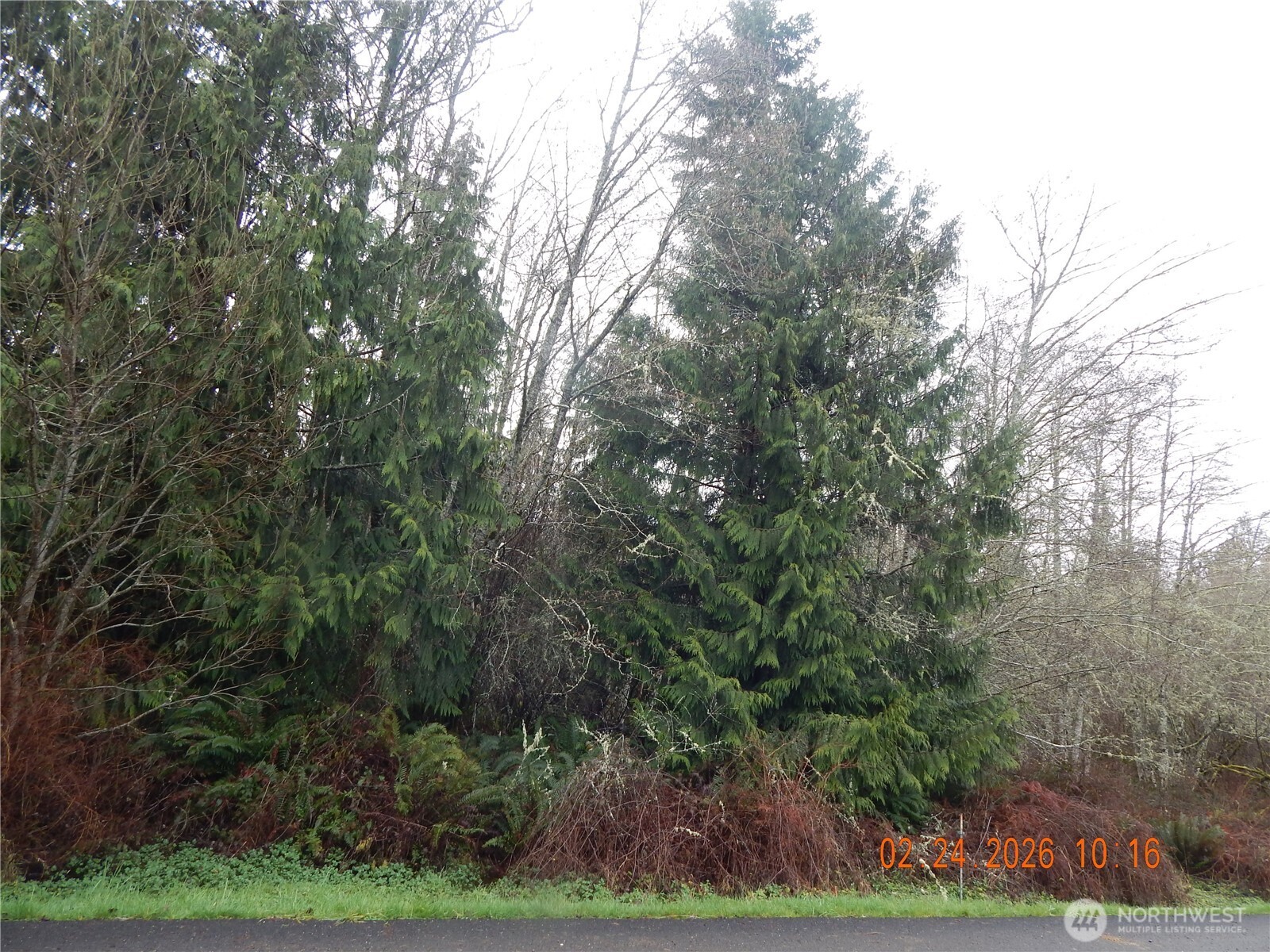 9999 Farrington Road Property Photo 9
