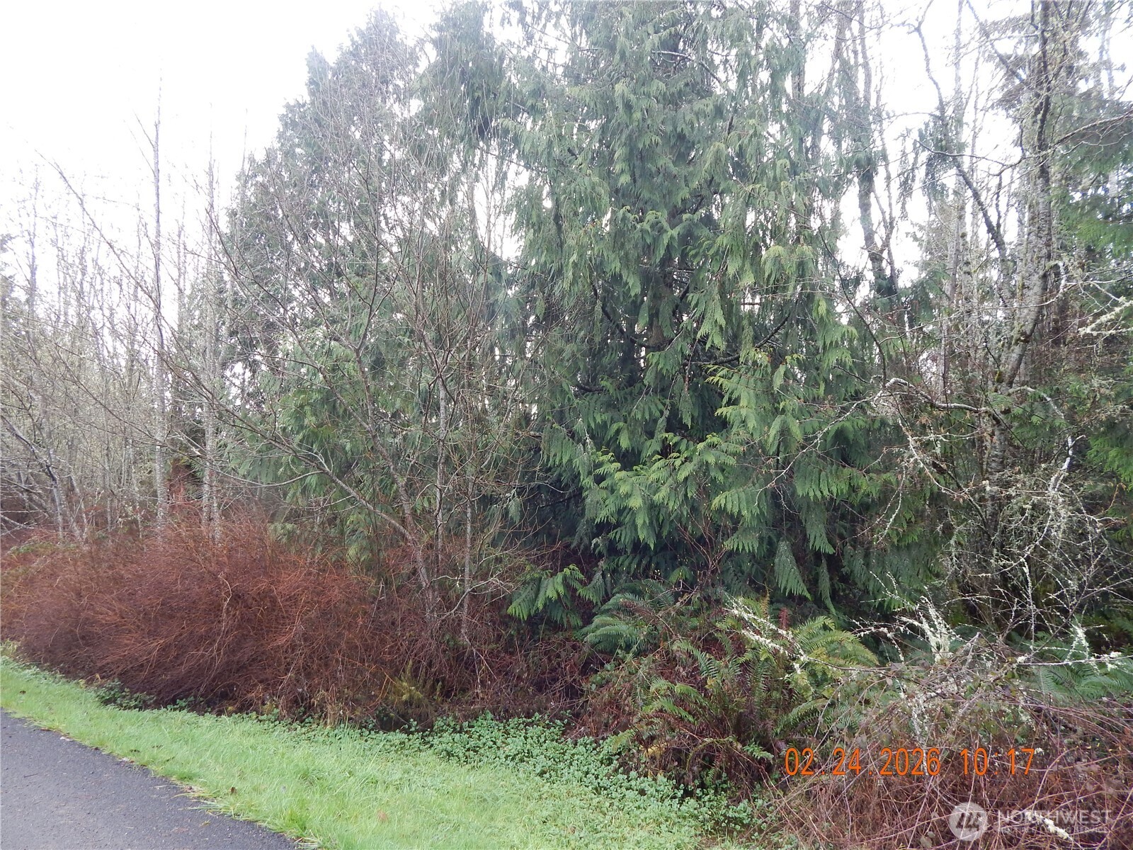 9999 Farrington Road Property Photo 10