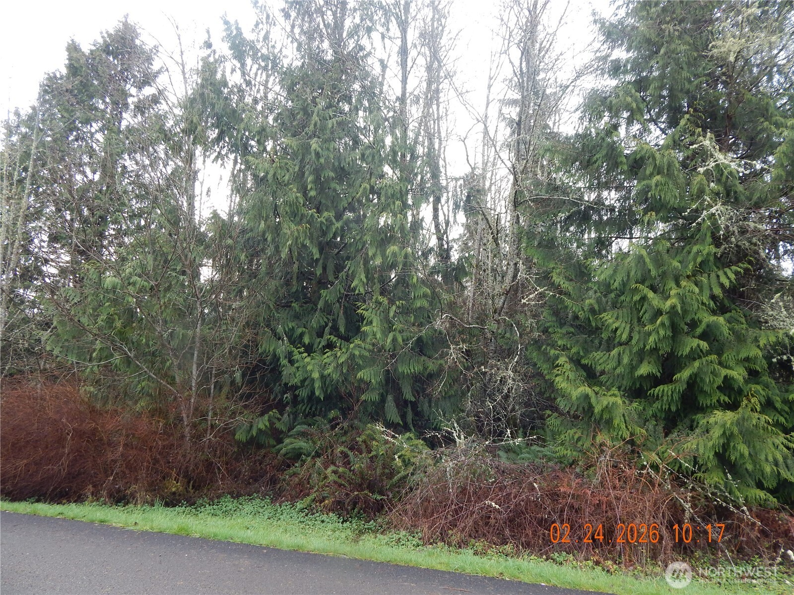 9999 Farrington Road Property Photo 11