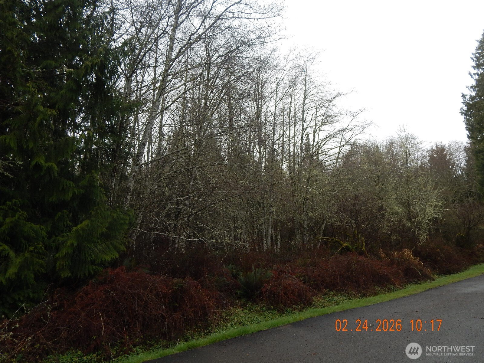 9999 Farrington Road Property Photo 12
