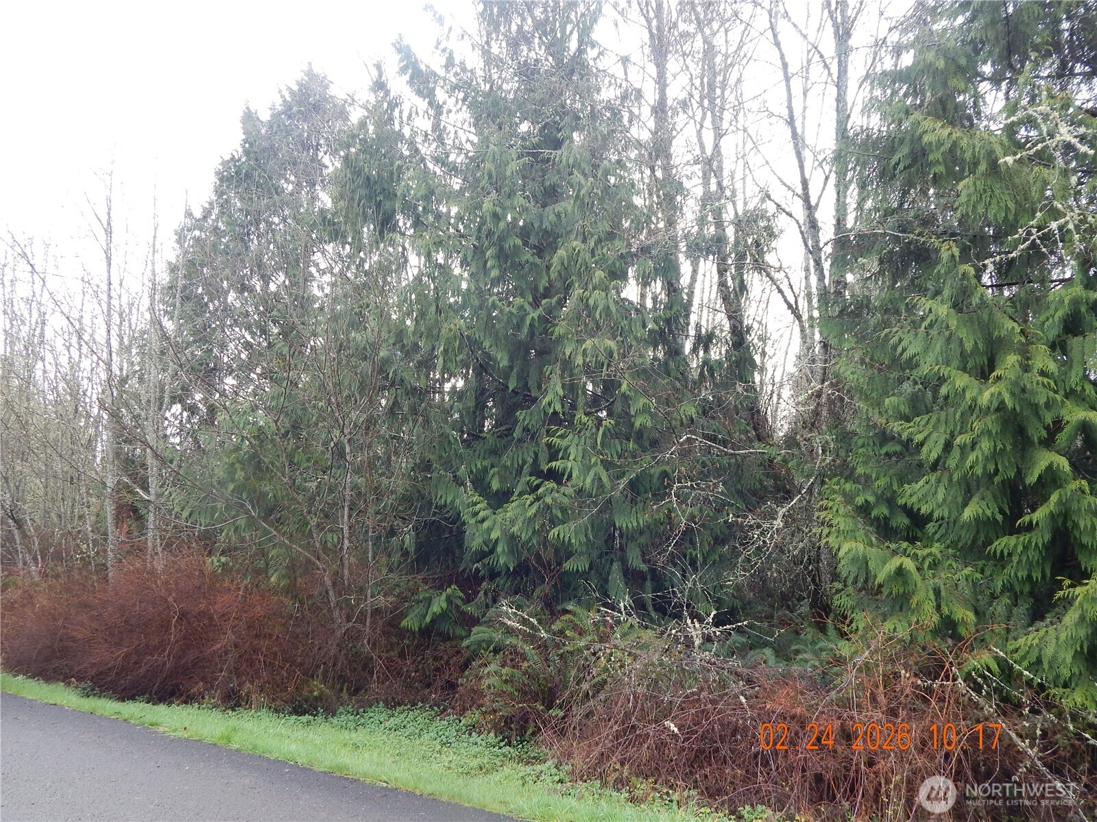 9999 Farrington Road Property Photo 13