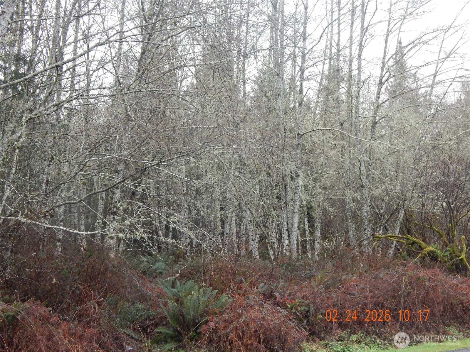 9999 Farrington Road Property Photo 14