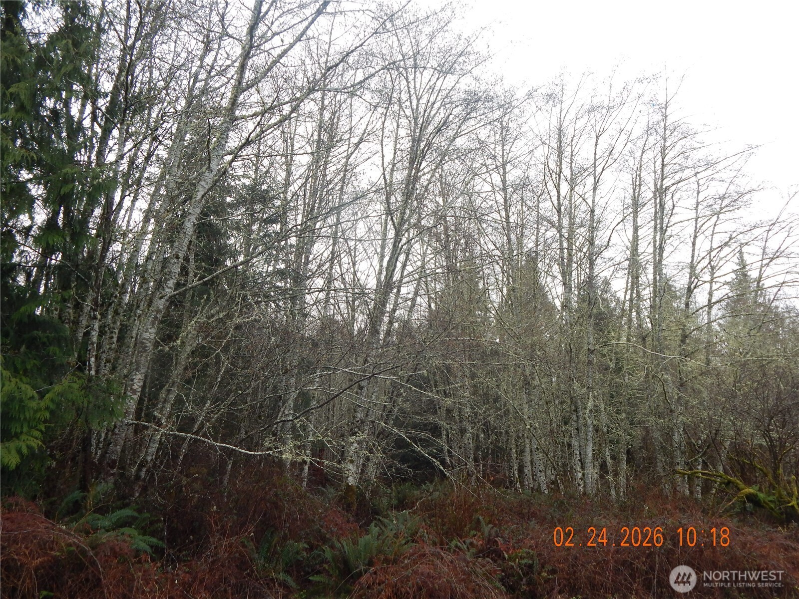 9999 Farrington Road Property Photo 15