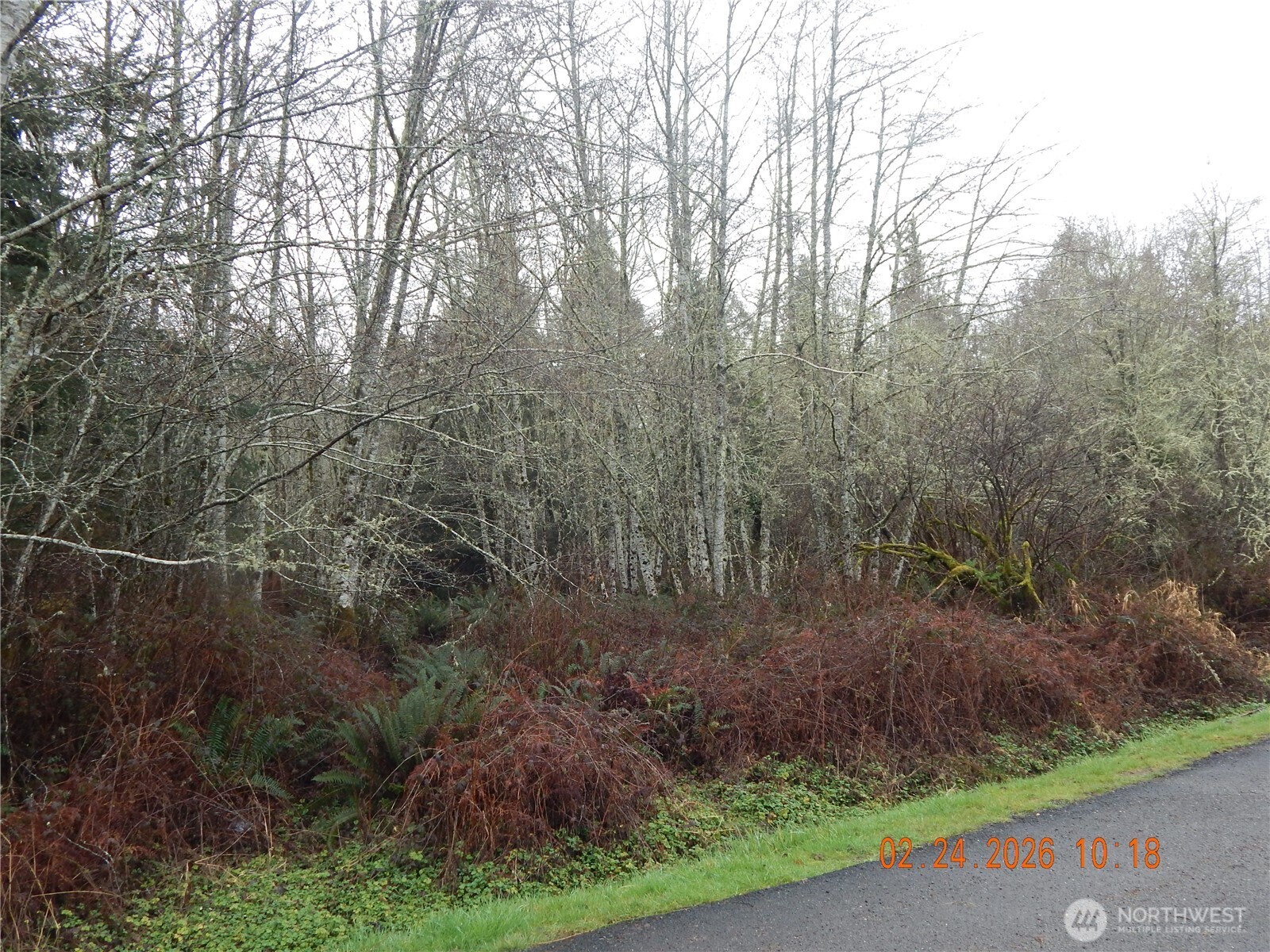 9999 Farrington Road Property Photo 16