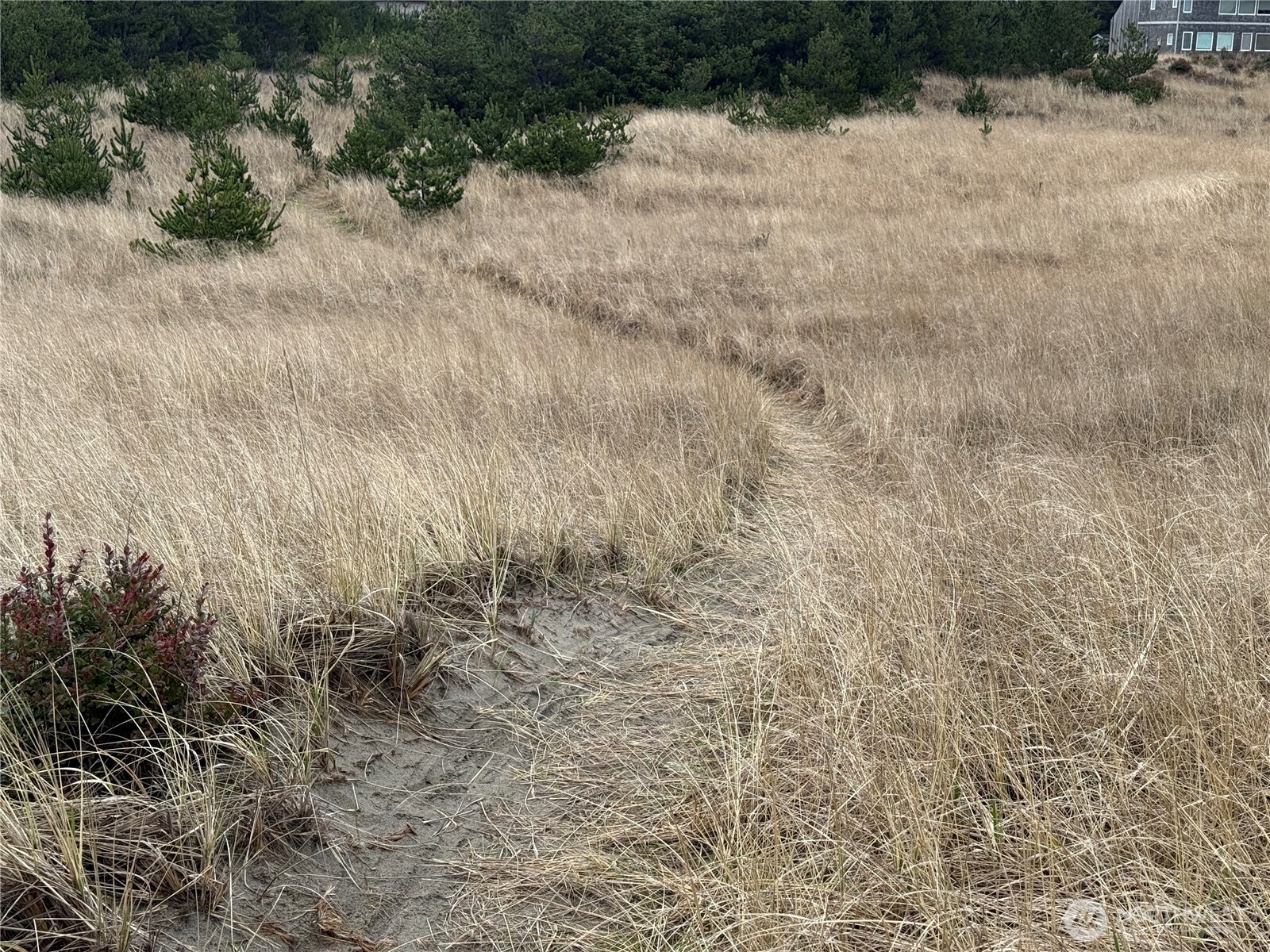 1207 215th Lane Property Photo 33
