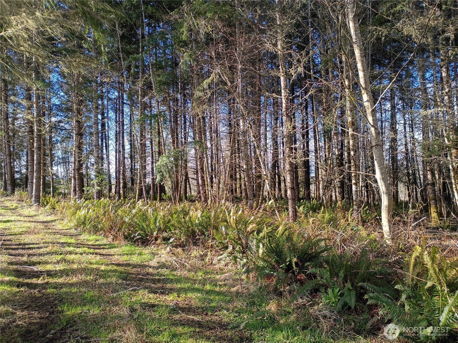 0 0 Salmon Creek Road 0 Property Photo 4