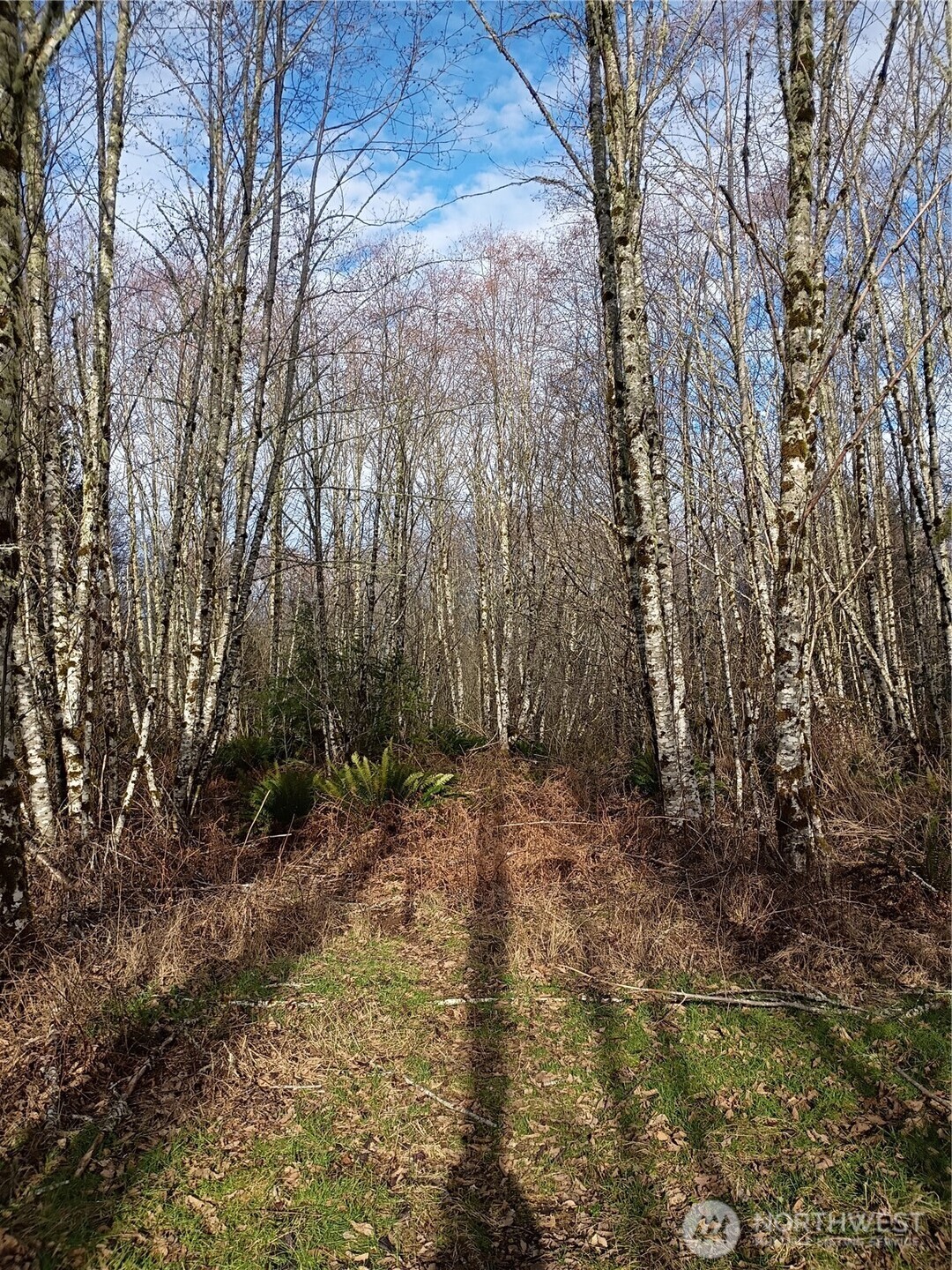 0 0 Salmon Creek Road 0 Property Photo 5