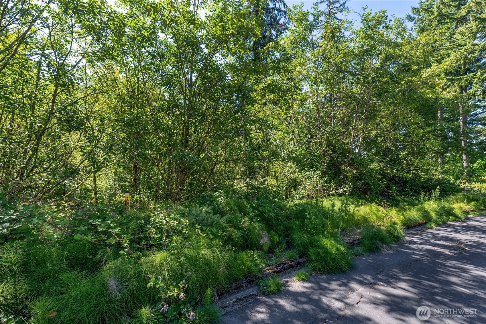 14 Forest Hill Estate Property Photo 6