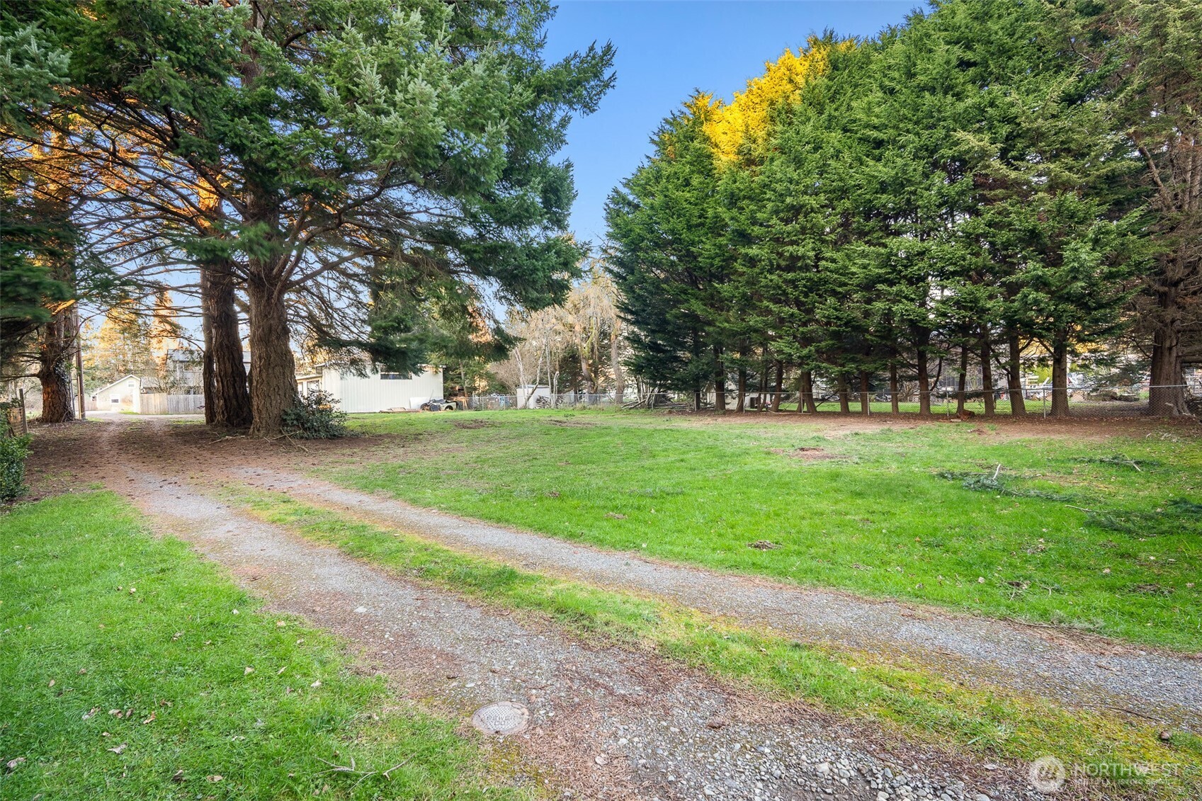 3009 Birchwood Avenue Property Photo 4