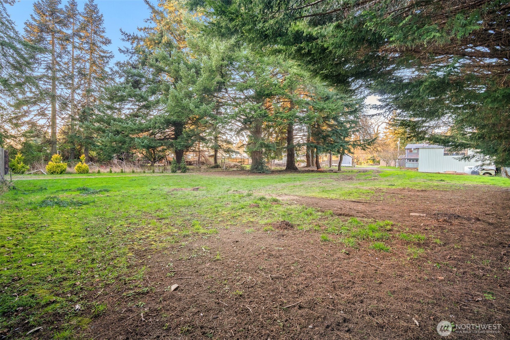 3009 Birchwood Avenue Property Photo 6