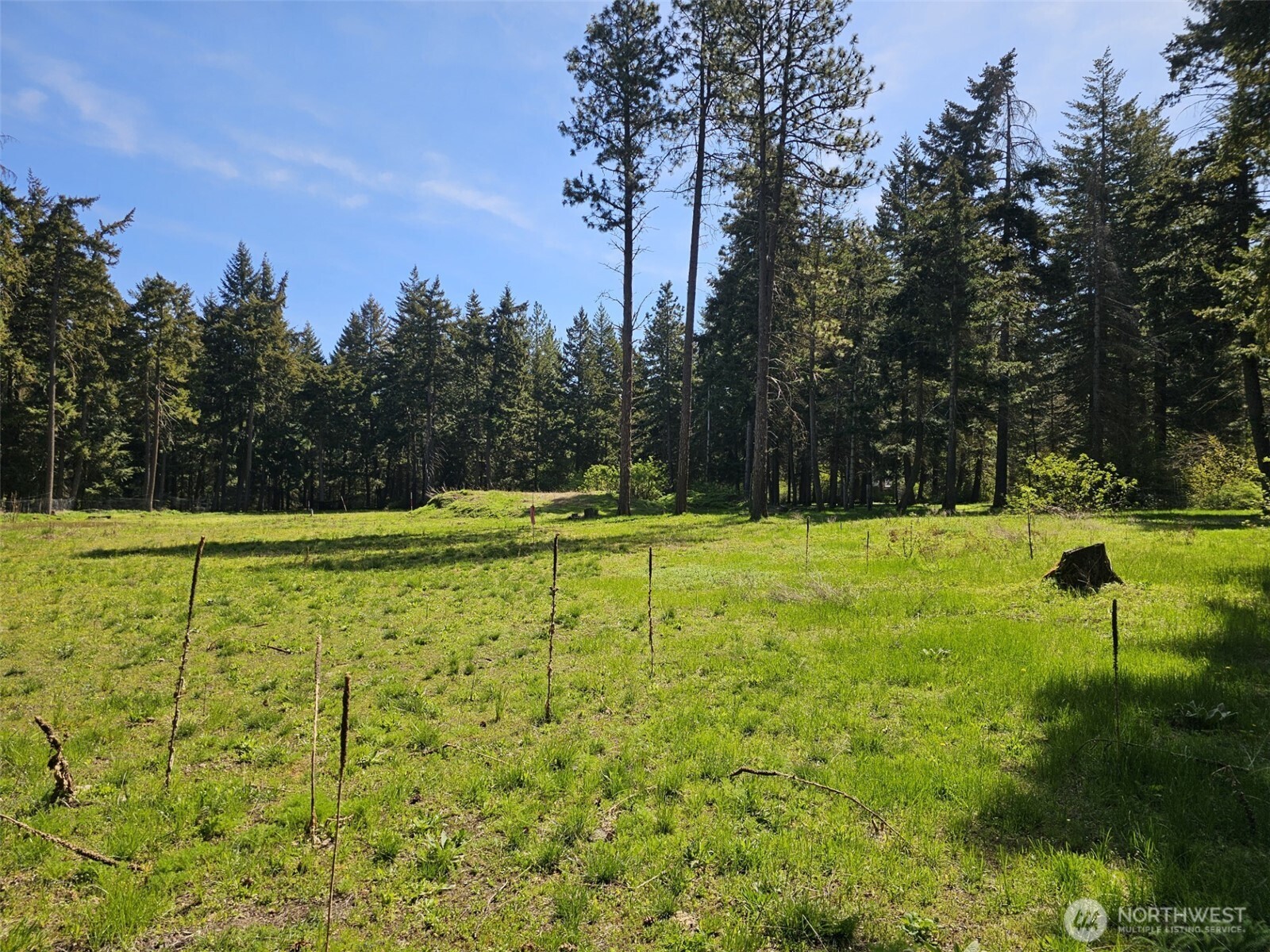551 Pioneer Trail Property Photo 19