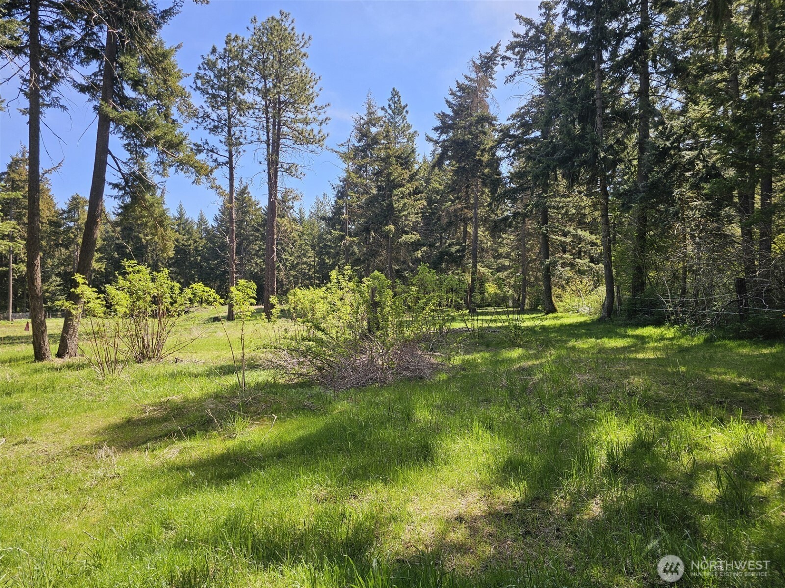 551 Pioneer Trail Property Photo 20