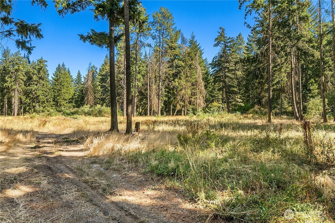 551 Pioneer Trail Property Photo 23