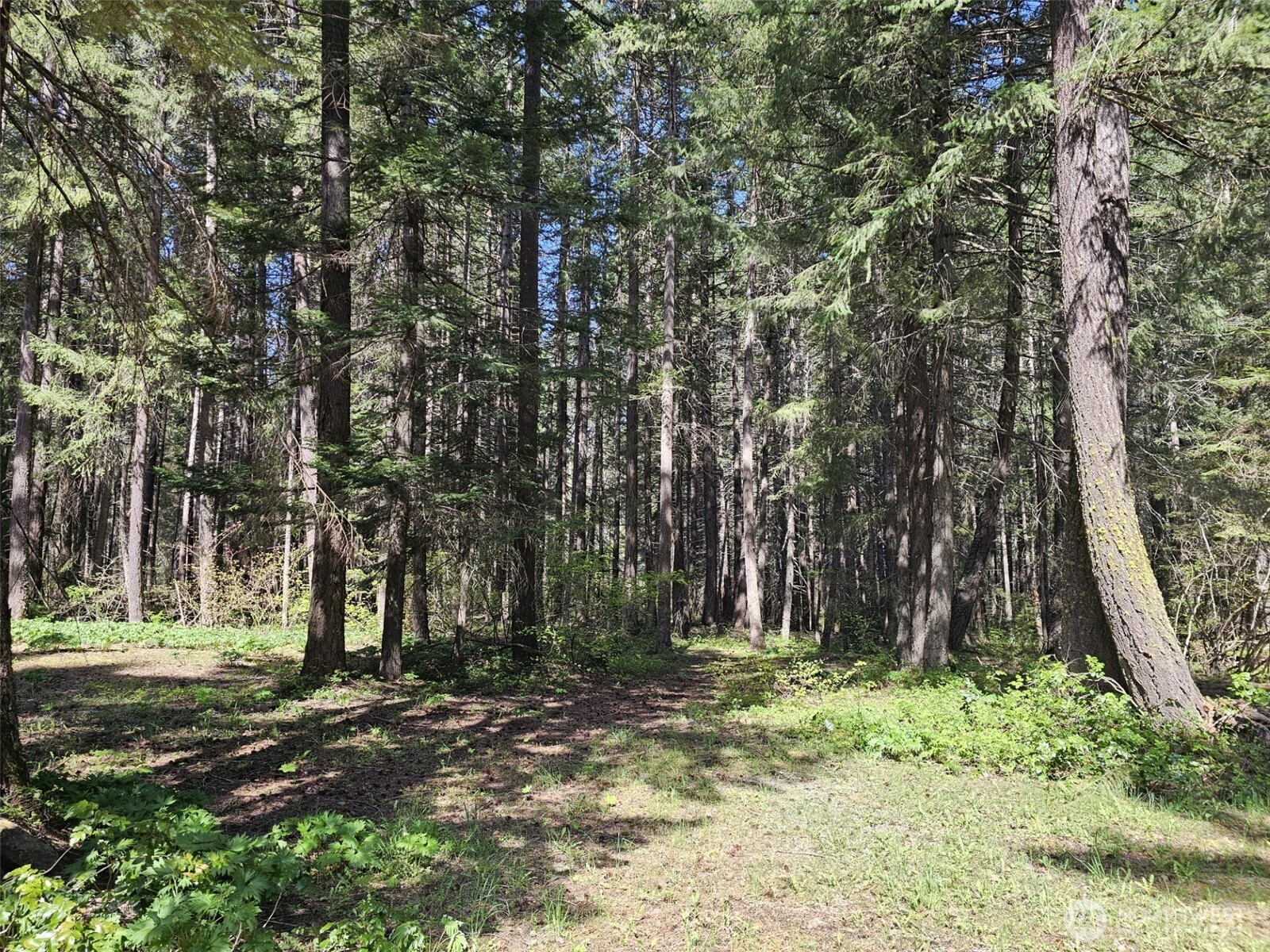 551 Pioneer Trail Property Photo 28
