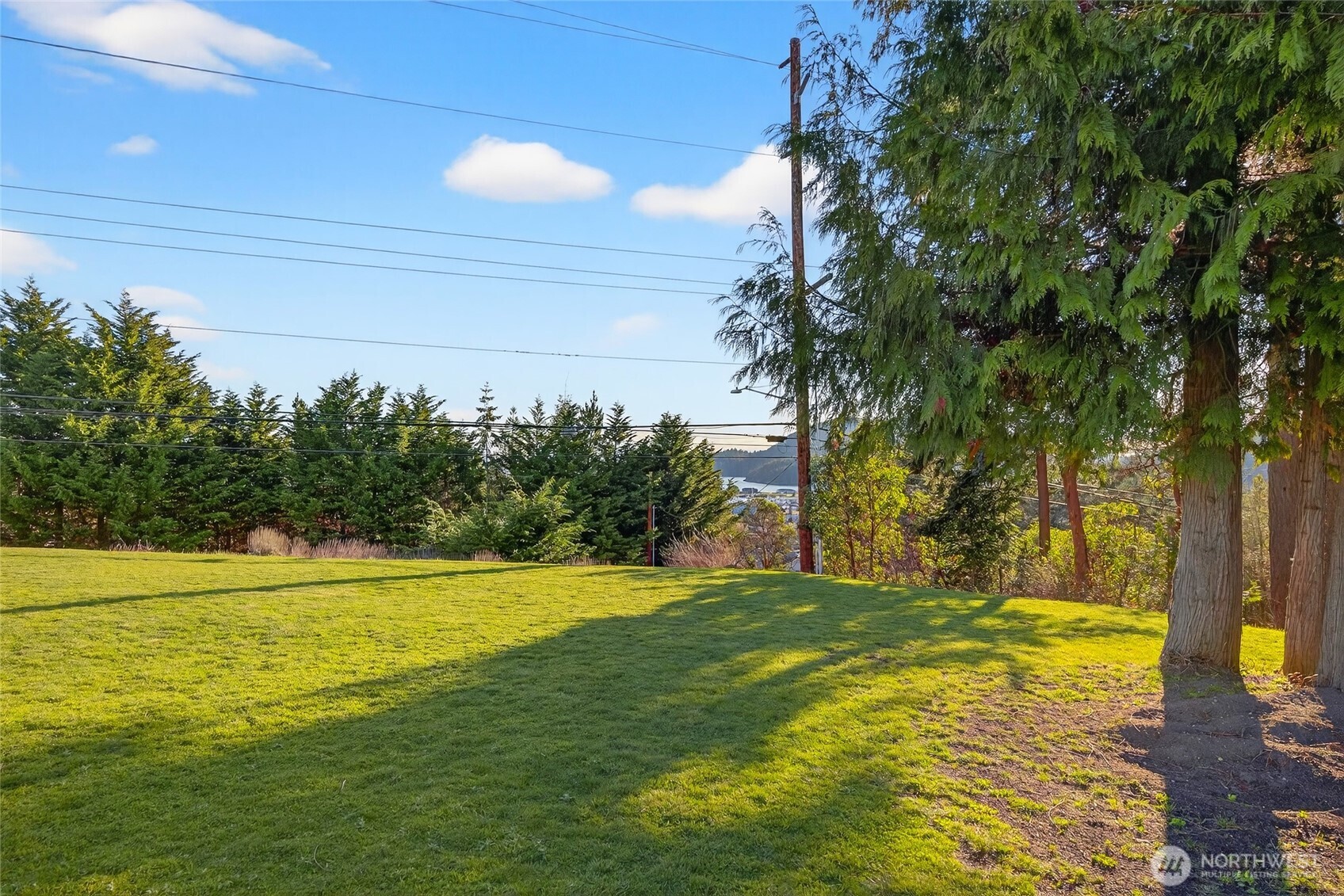 2810 Grady Lane Property Photo 8