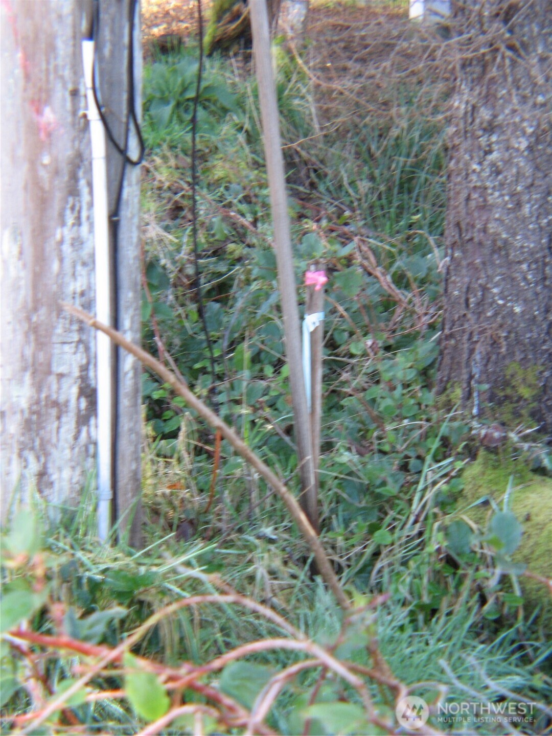 1704 320th Place Property Photo 10