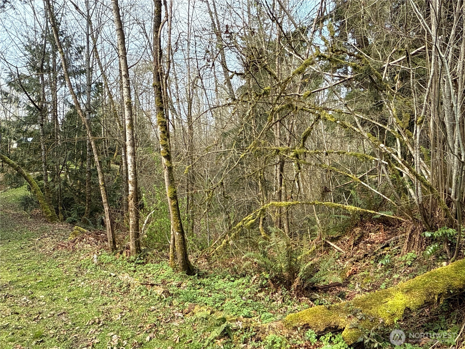 22 Xxx 212th Avenue Property Photo 3