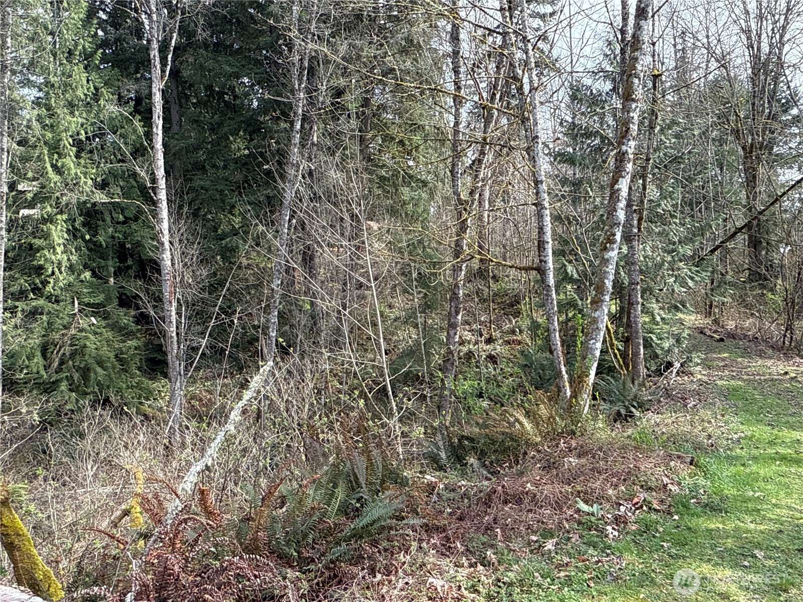 22 Xxx 212th Avenue Property Photo 7
